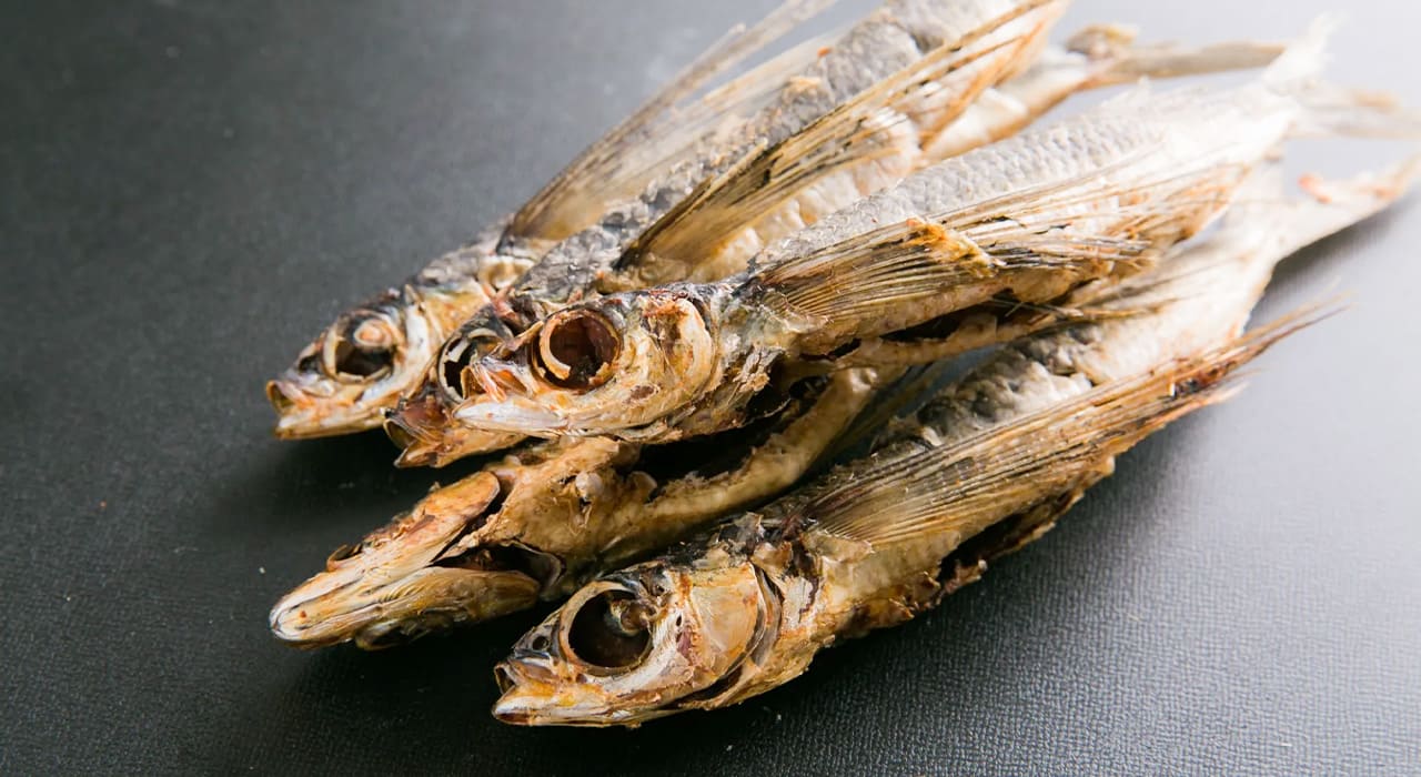 魚粉